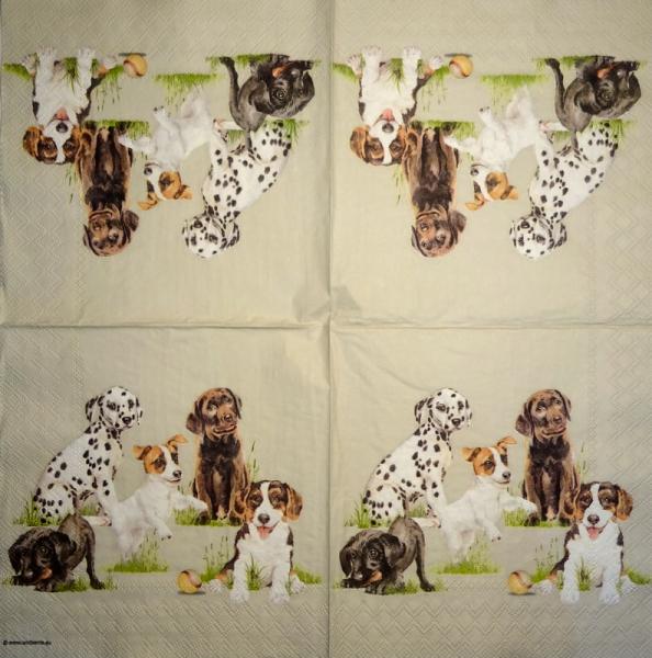 HUN-779 Dogs - 3-ply - Ambiente - CS